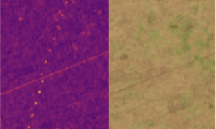 In the SAR image, a row of yellow dots, the power lines, is clearly visible. In the optical image of the same location, there are no visible power lines.