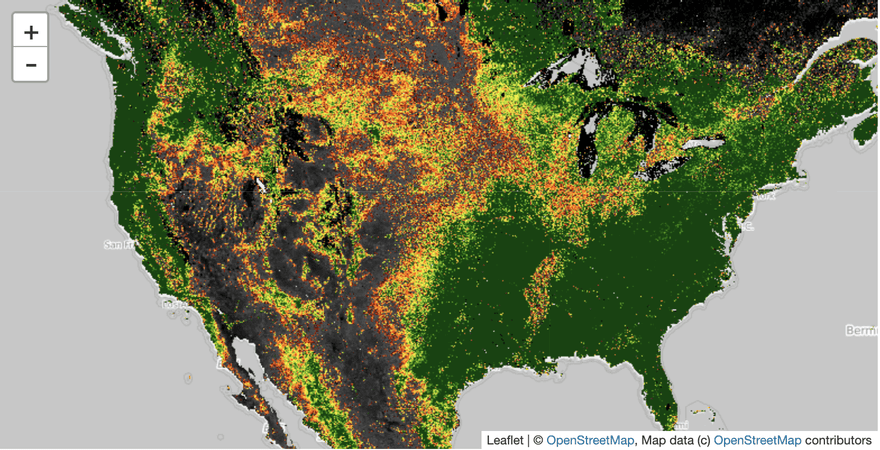 Normalized difference vegetation index (NDVI) from the MODIS instrument over the United States.