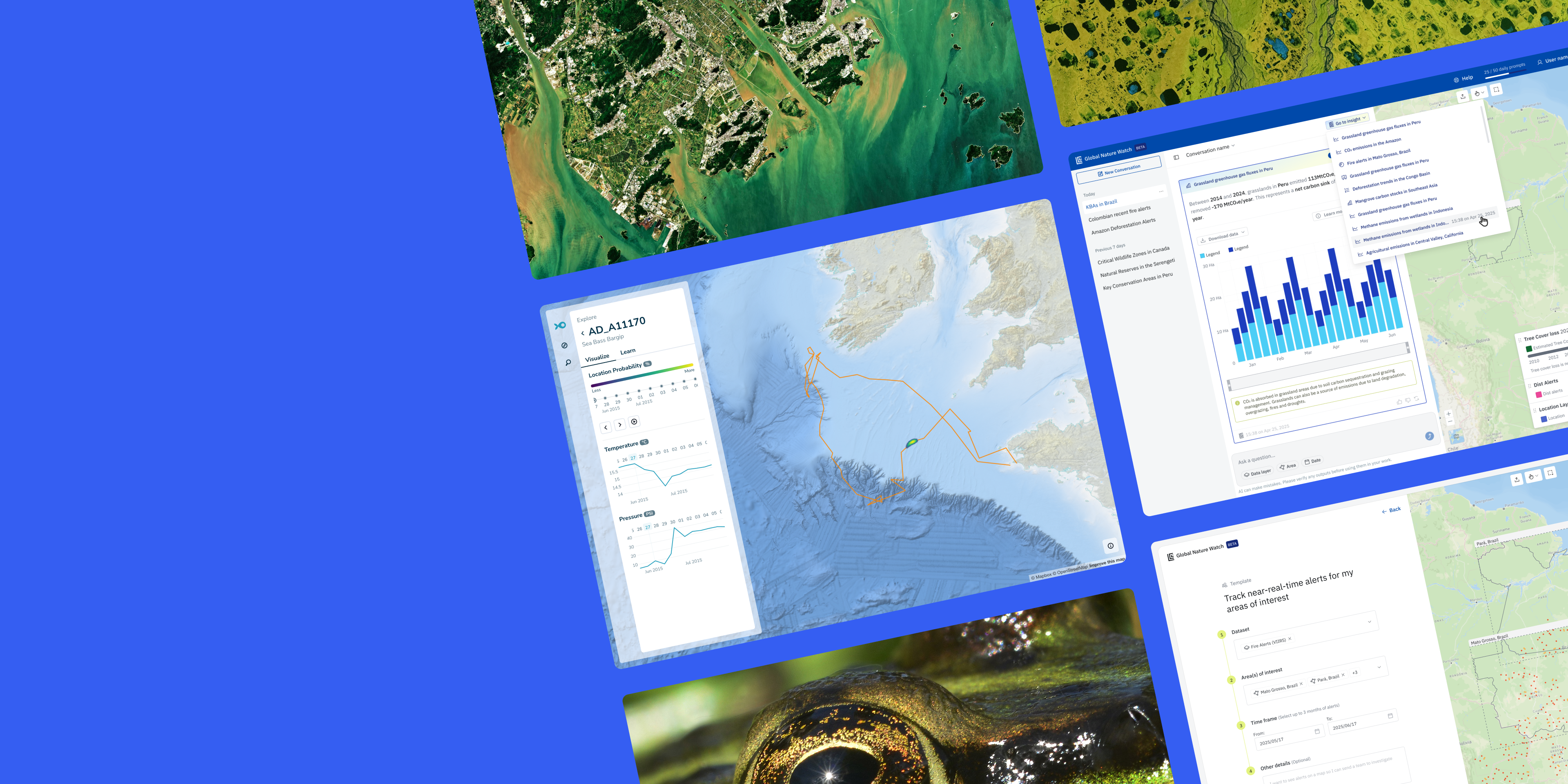 AI for Earth — Development Seed