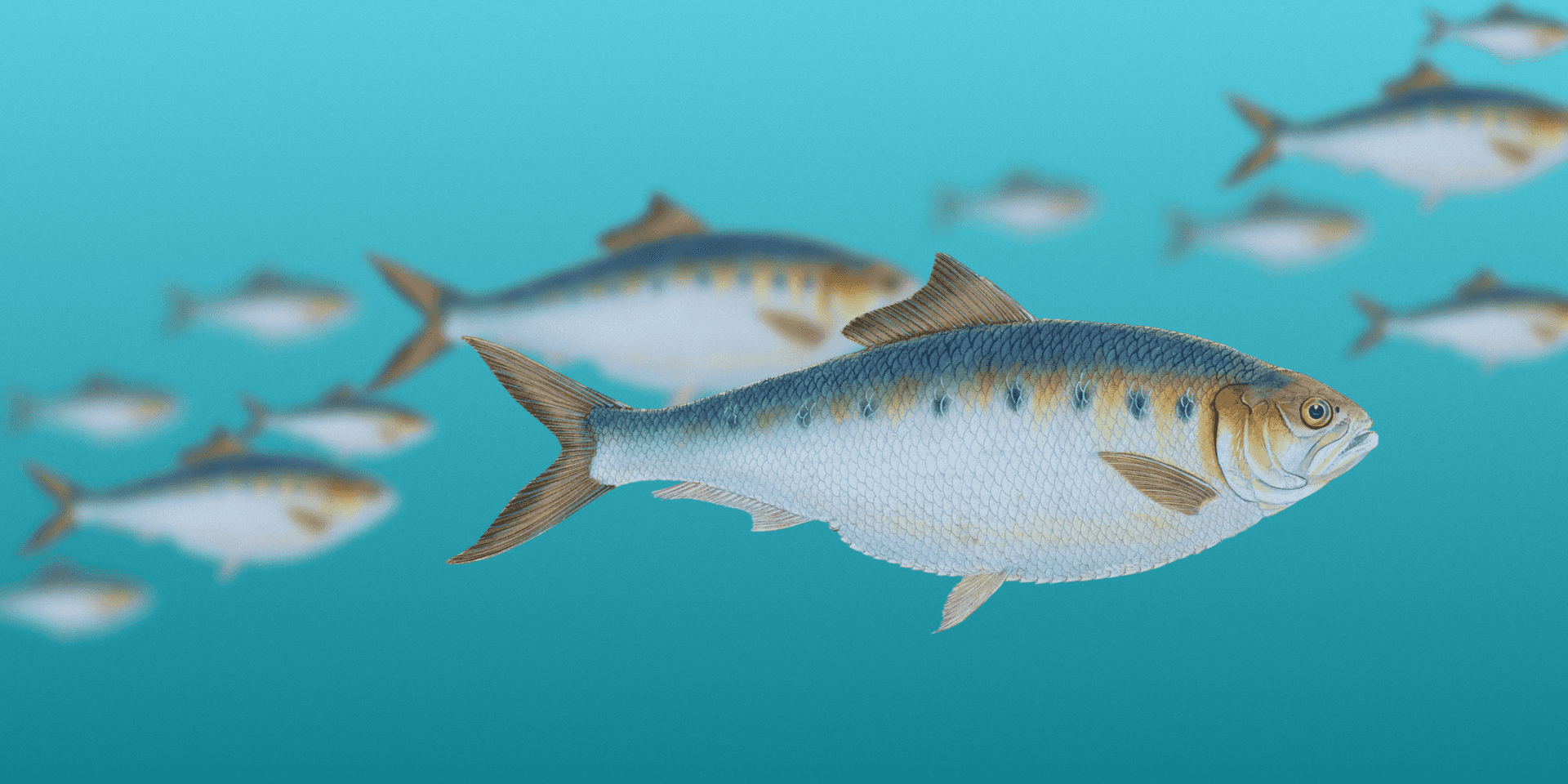 Blog post cover image