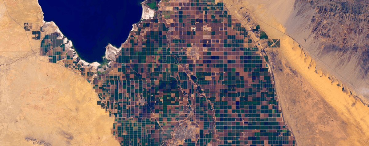 remotepixel-tiler uses rio-tiler to dynamically create Web Map tiles from Landsat-8 data hosted on AWS.