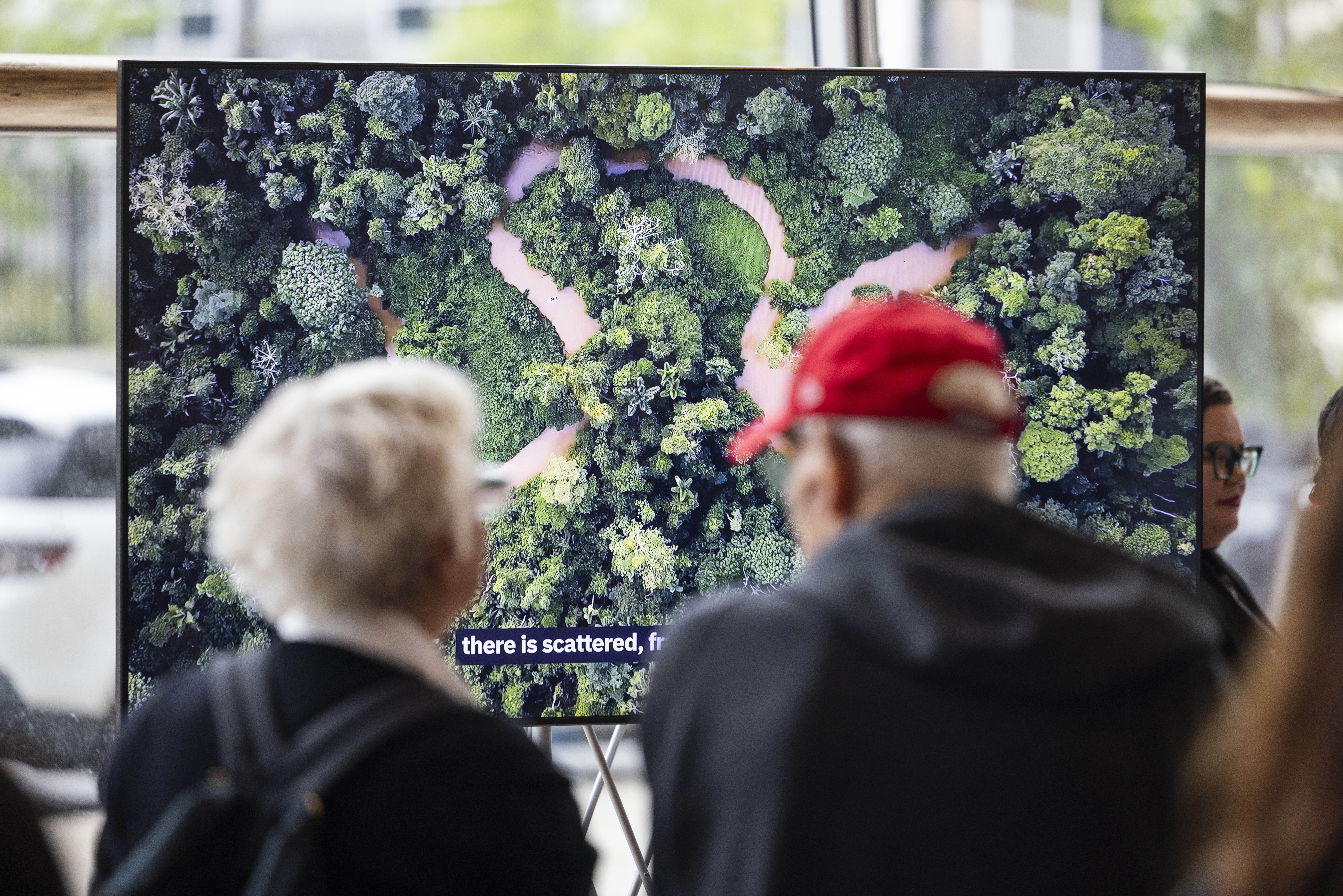 Two people view a large screen displaying an aerial image of a winding river cutting through dense green forest during the Global Nature Watch launch event.